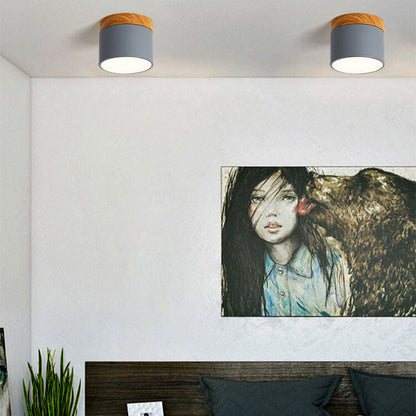 Scandinavian Macaron LED Ceiling Light