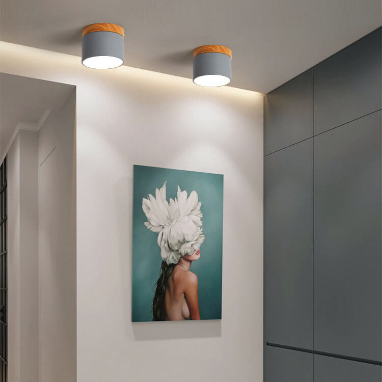 Scandinavian Macaron LED Ceiling Light