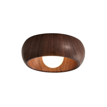 Albanora Ceiling Lamp Minimalist Modern
