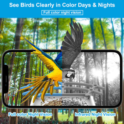 Bird Feeder Camera Outdoor Solar Roof Smart