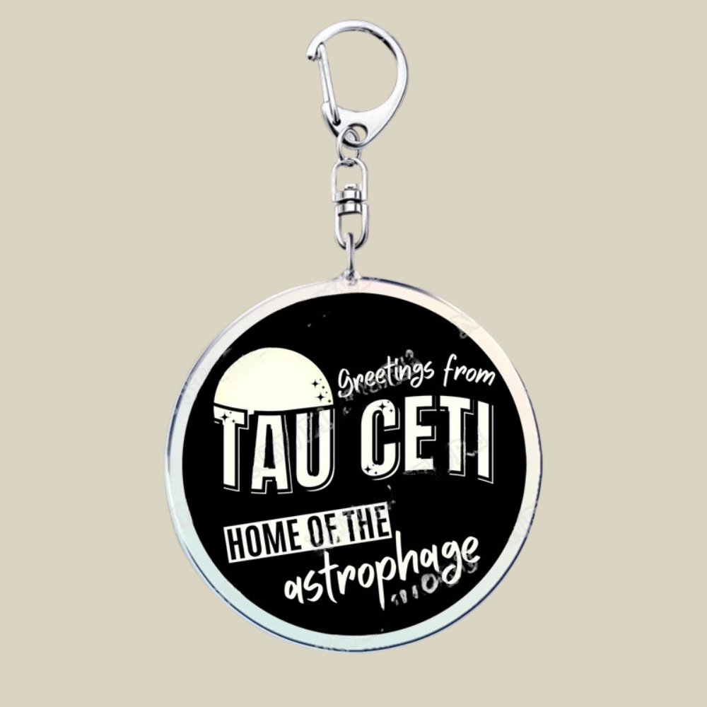 Bunnycat Keychain Funny Acrylic Charm Cute