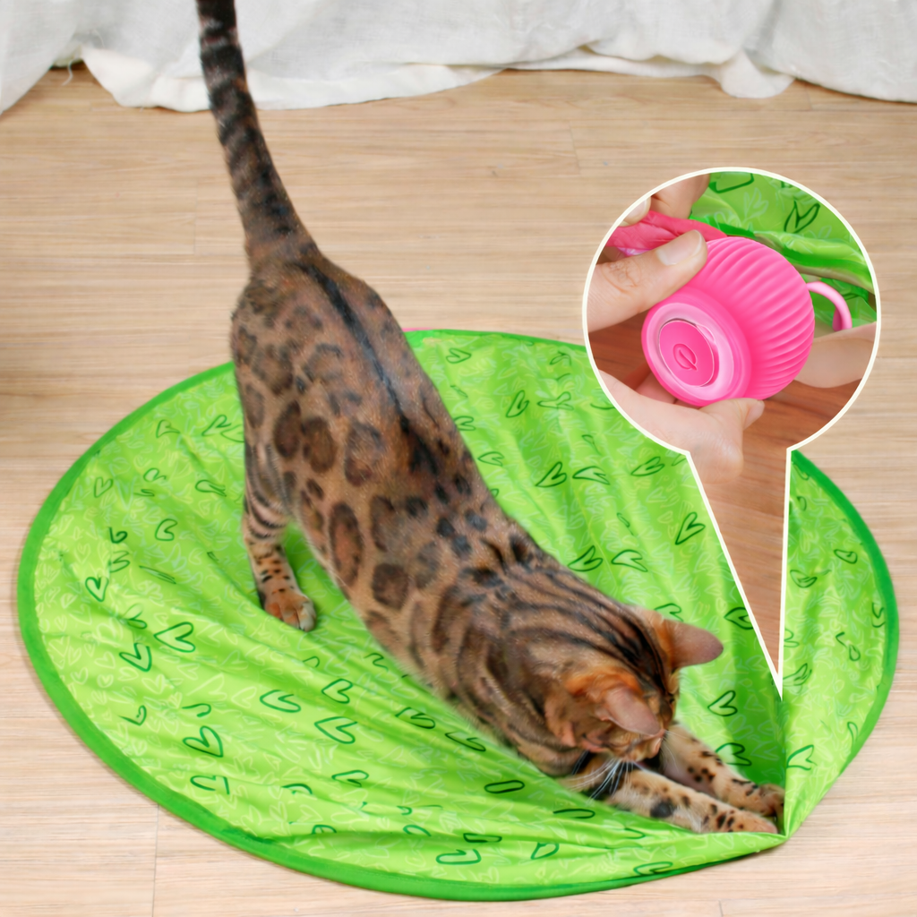 Cat Toy Interactive Rolling Smart Ball