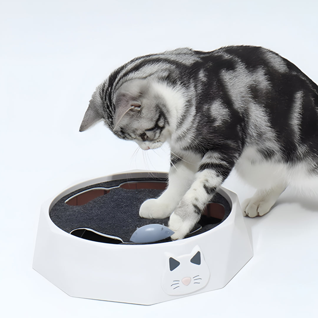 Cat Toy Scratch Pad Interactive Mouse