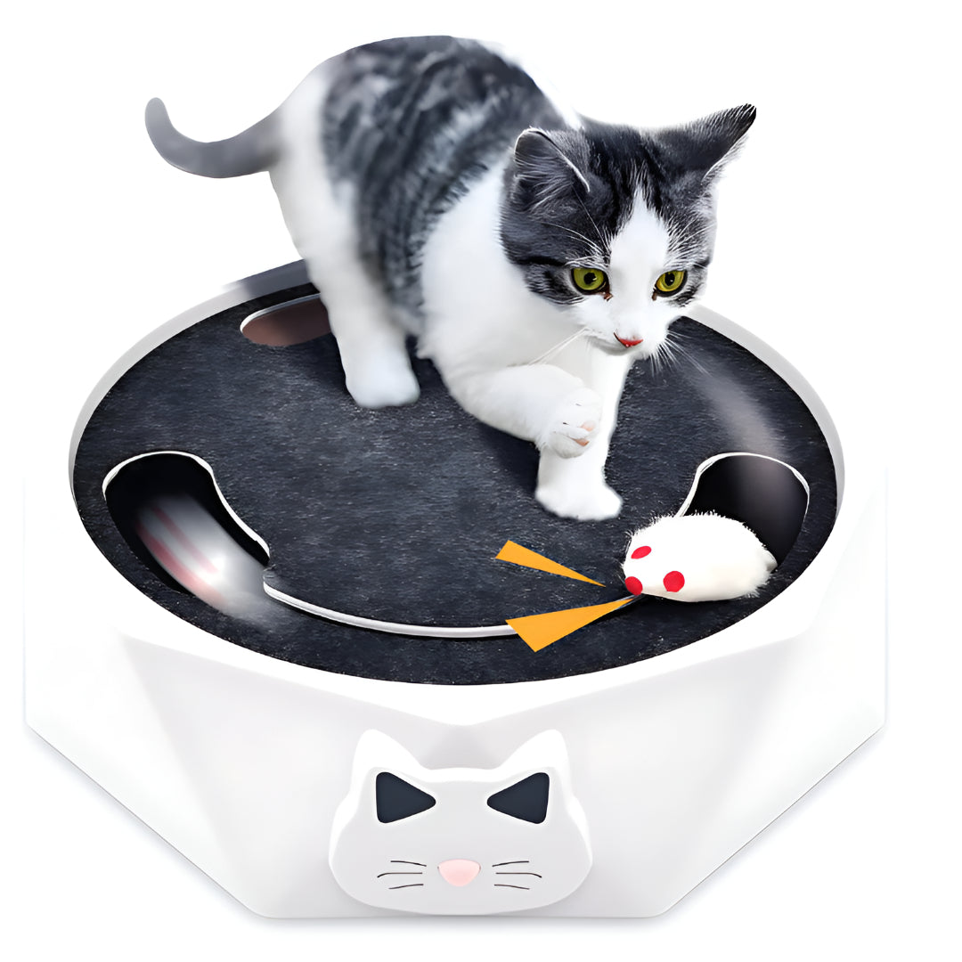 Cat Toy Scratch Pad Interactive Mouse