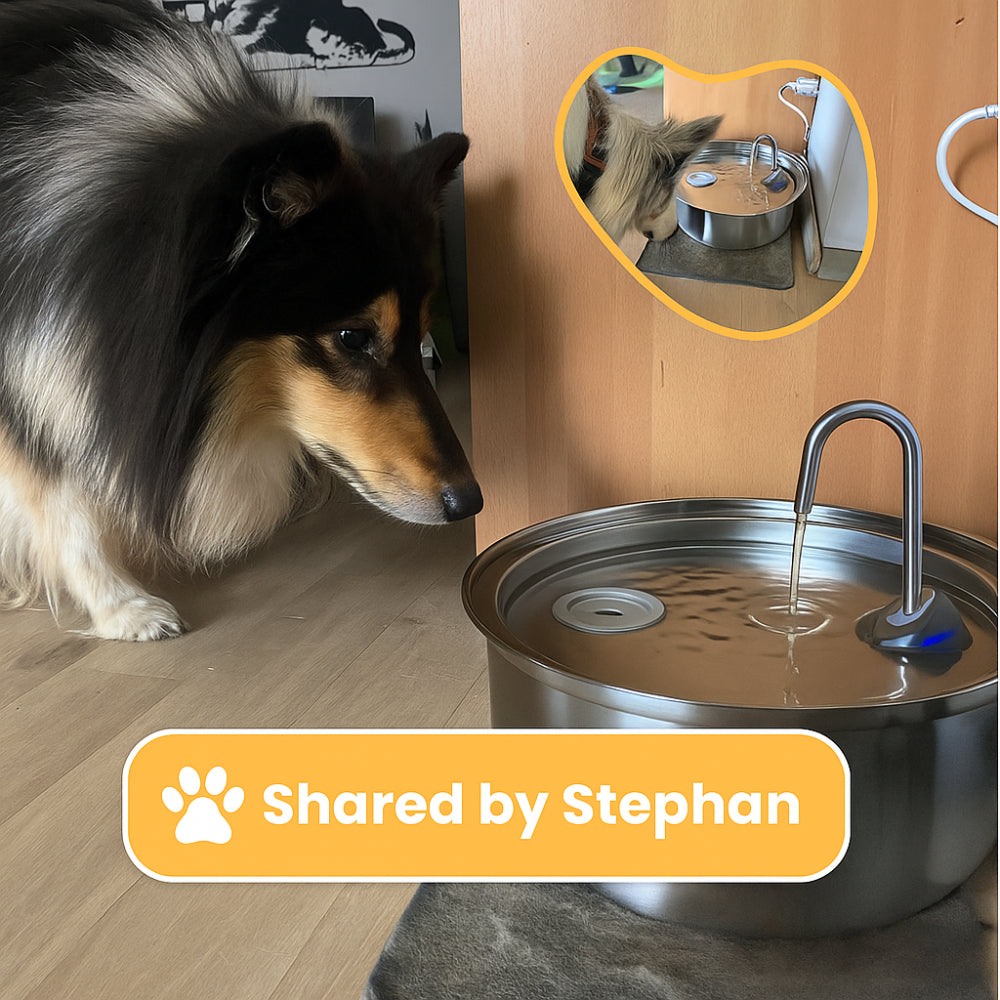 Pet Water Fountain Stainless Steel Automatic