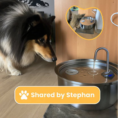 Pet Water Fountain Stainless Steel Automatic