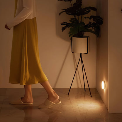 Motion Sensor Night Light Wireless LED