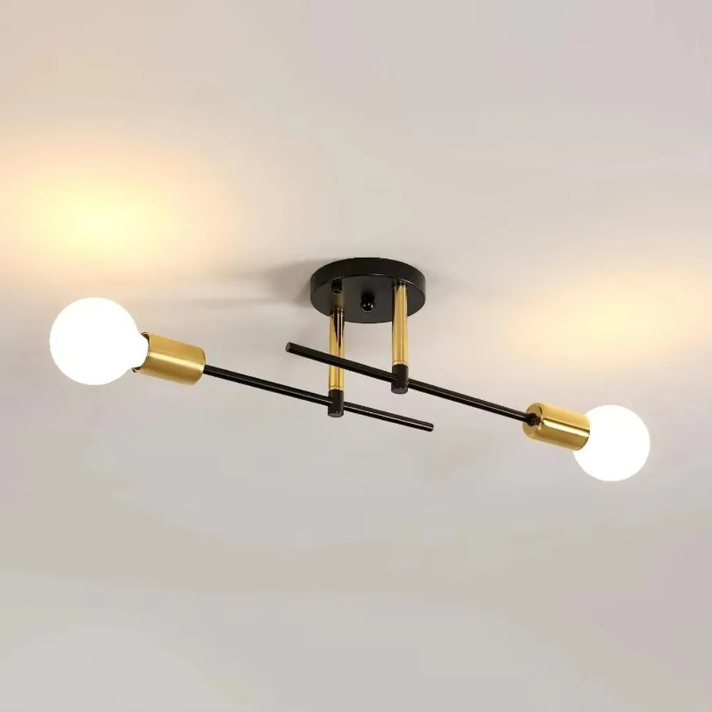 Modern 2 Light Ceiling Lamp Black &