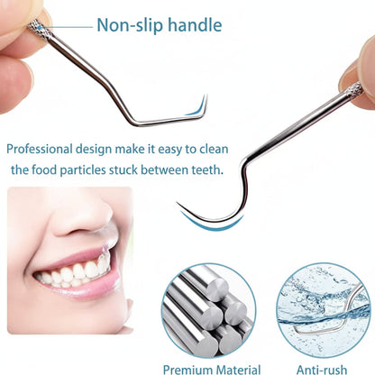 Toothpick Set Reusable Metal Toothpicks