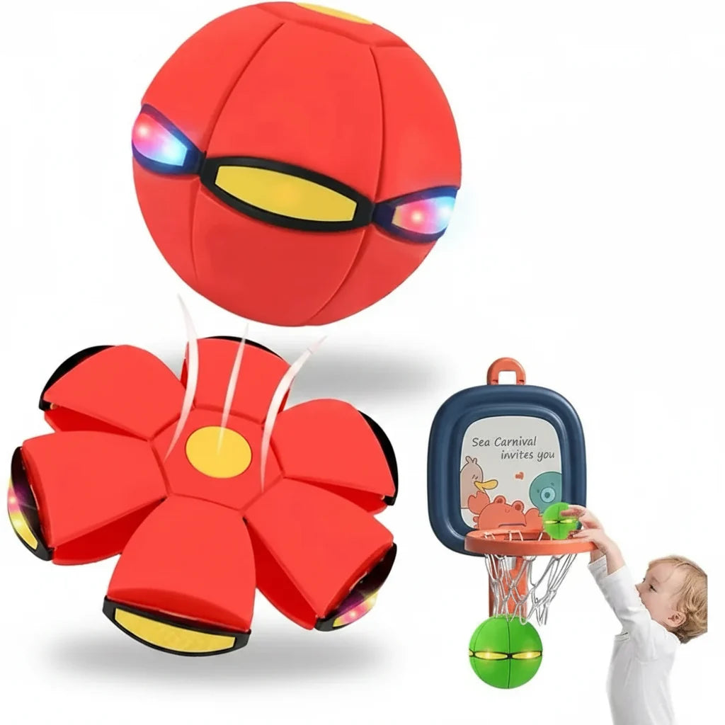 Bouncy Ball Educational Fun Pet Toy Light