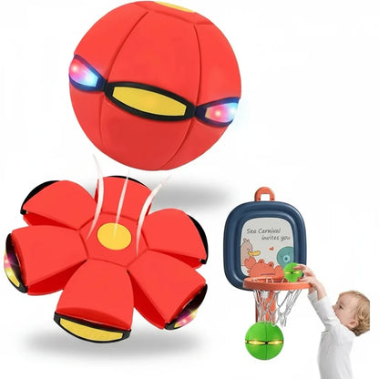 Bouncy Ball Educational Fun Pet Toy Light