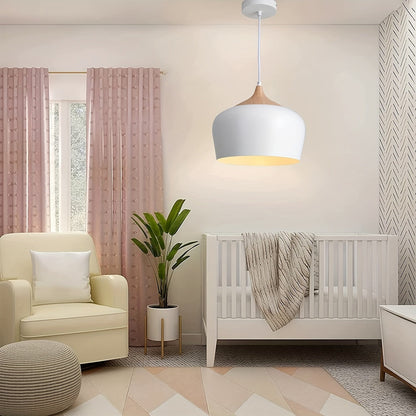 Modern Scandinavian Pendant Light Iron &