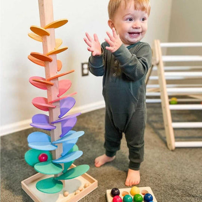 Cause Effect Toy Educational Activity
