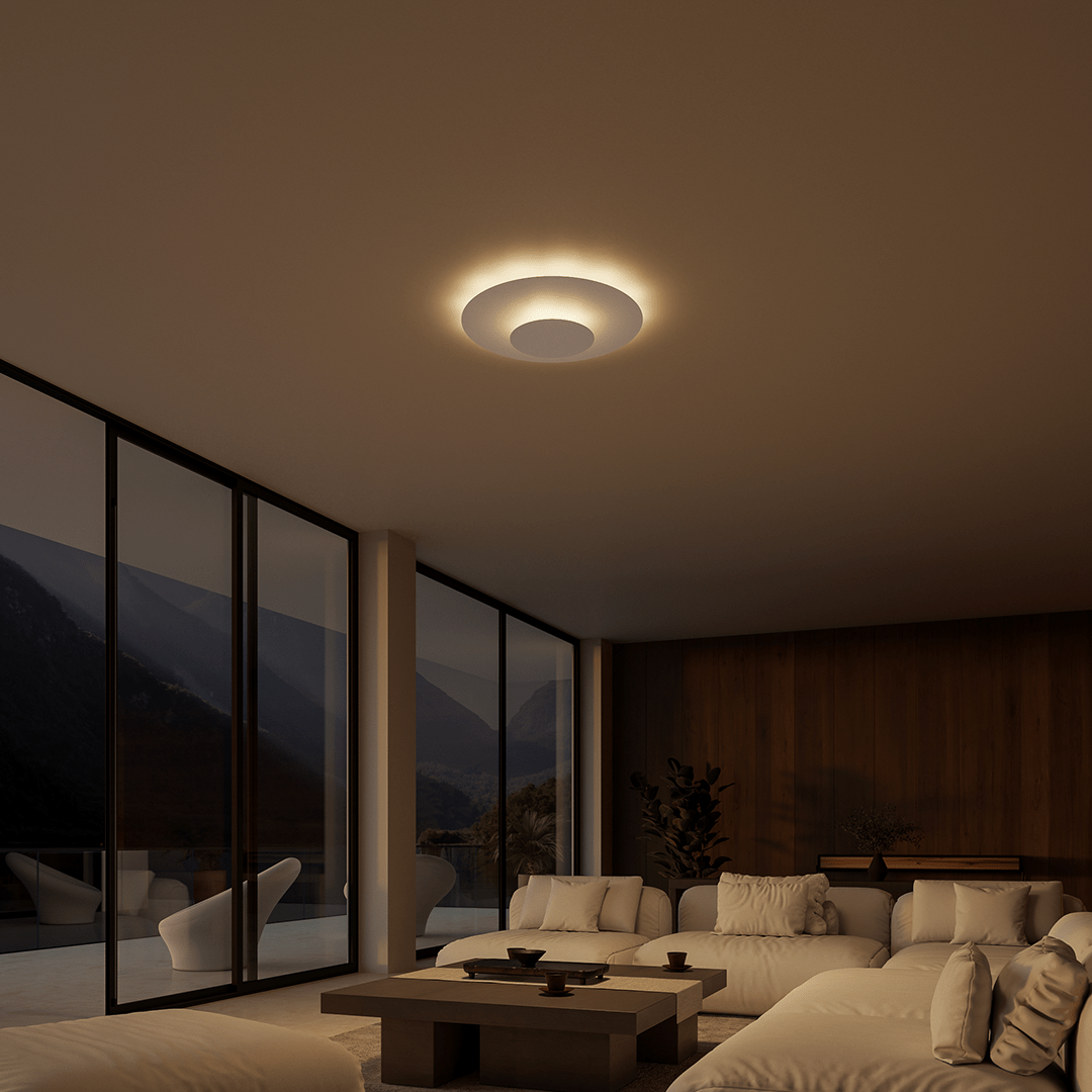 Flush Mount Ceiling Light LED Modern Round