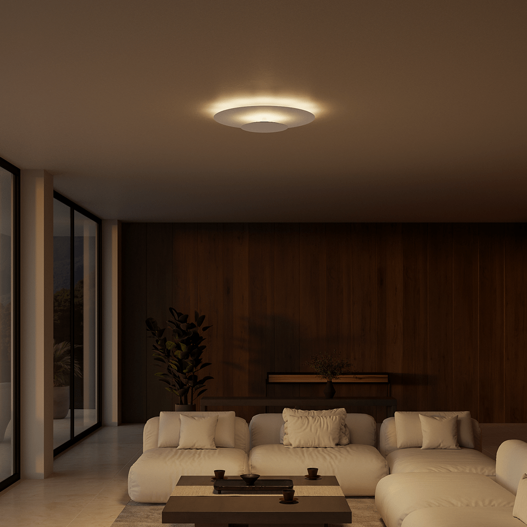 Flush Mount Ceiling Light LED Modern Round
