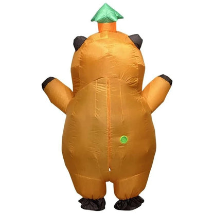 Halloween Costumes Funny Inflatable Costume