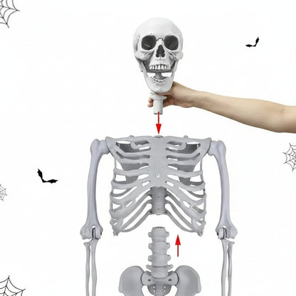 Halloween Decoration Skeleton Figure Life