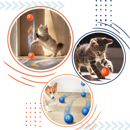 Interactive Dog Toy Durable Ball Engaging