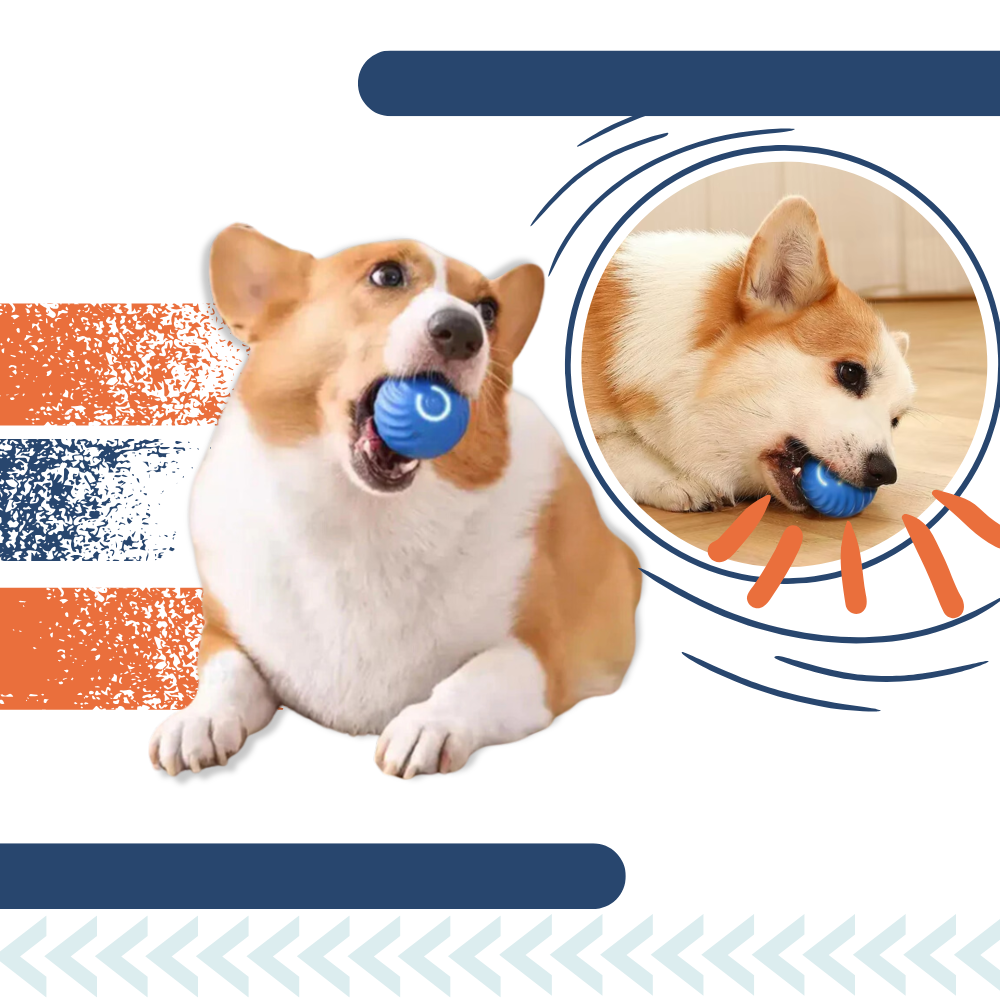 Interactive Dog Toy Durable Ball Engaging