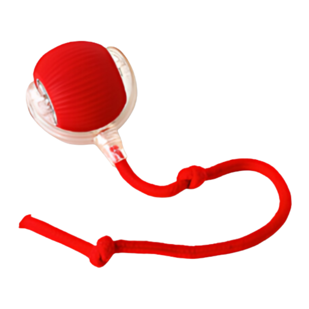 Interactive Dog Toy Durable Mental