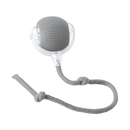 Interactive Dog Toy Durable Mental