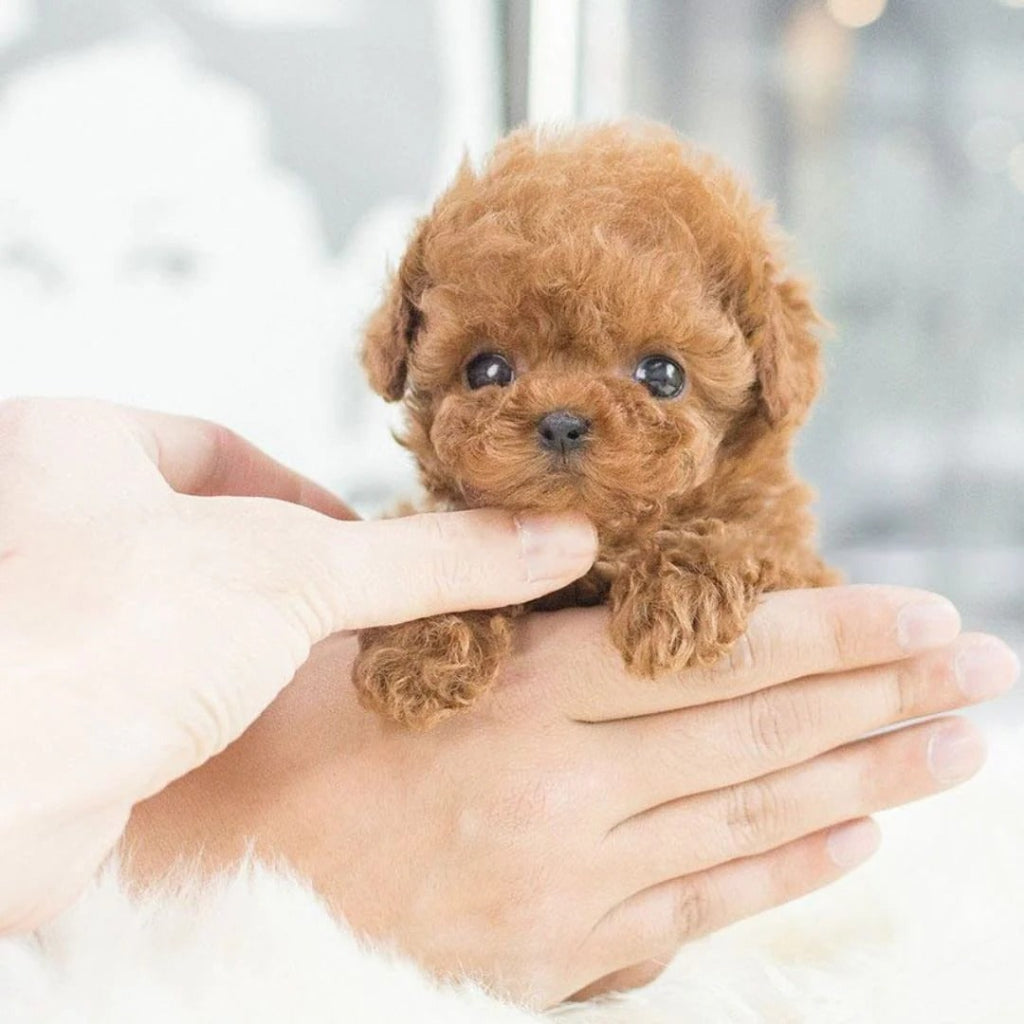 Interactive Dog Toy Robotic Puppy Lifelike