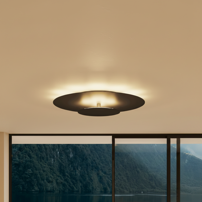 LED Lighting Flush Mount Ceiling Light