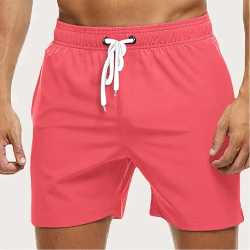 Men's Swimsuit Swim Shorts Quick Dry Beach