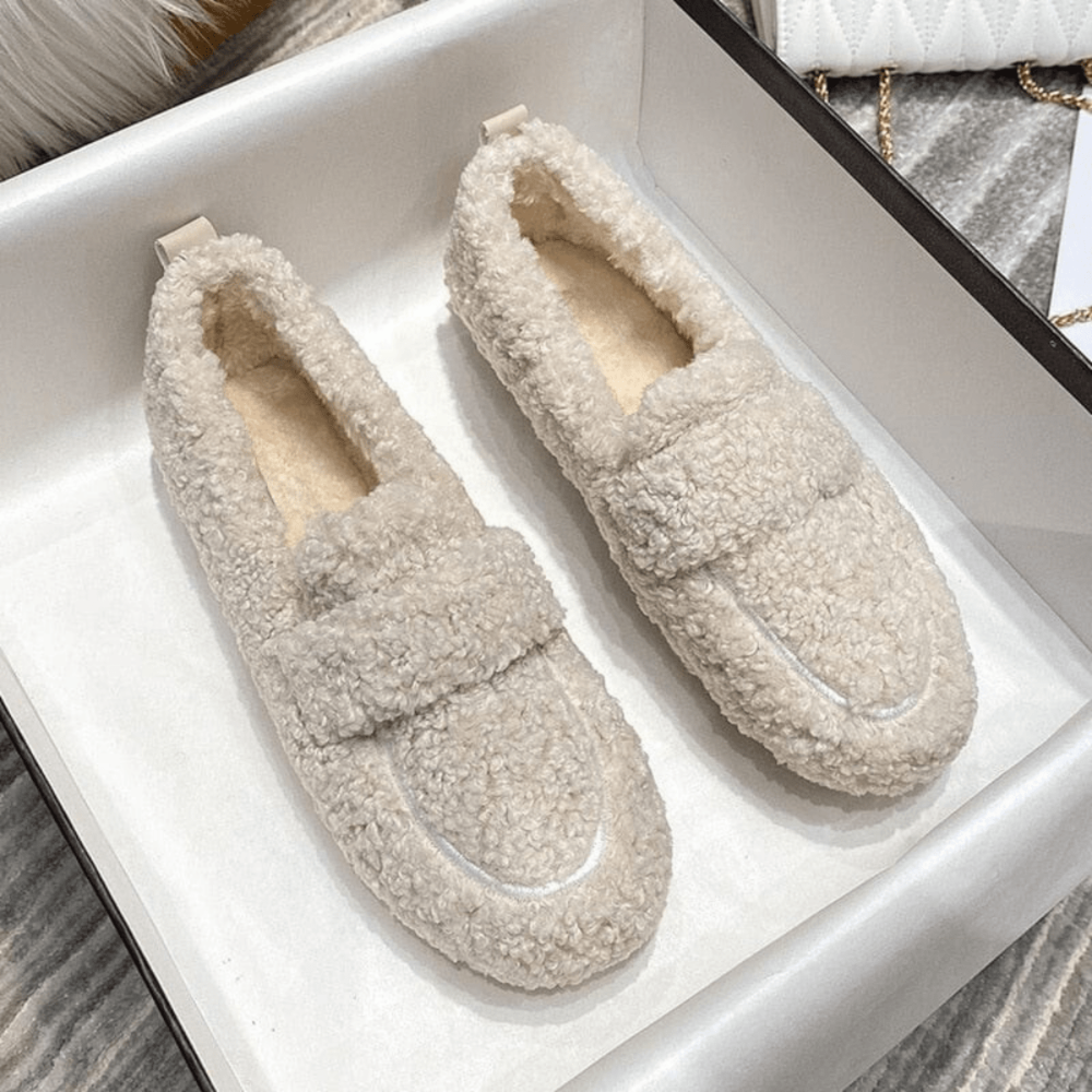 Women's Cozy Plush Winter Slippers Home